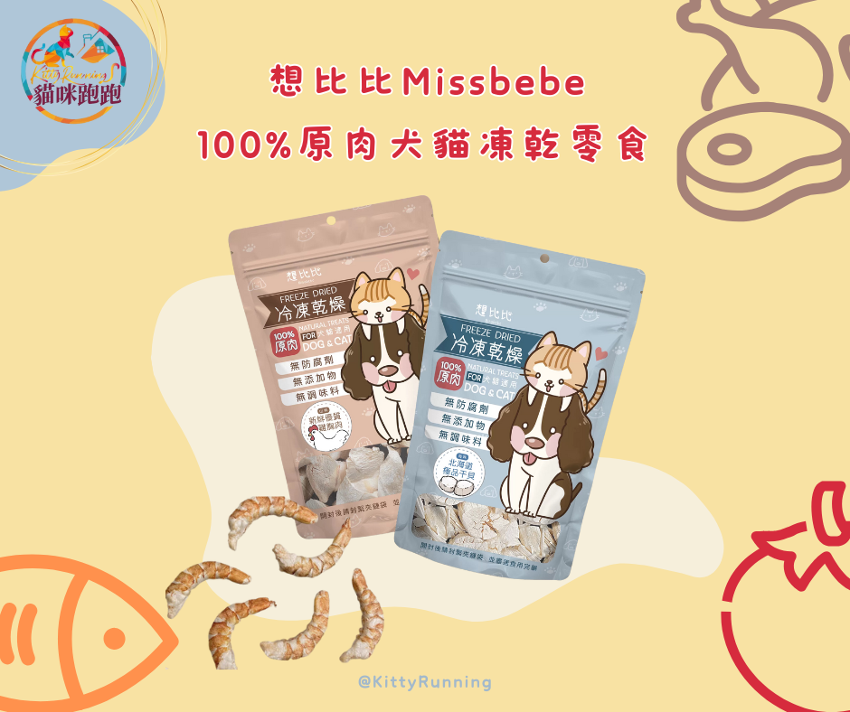 想比比Missbeb